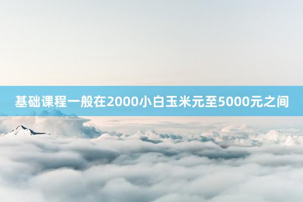 基础课程一般在2000小白玉米元至5000元之间