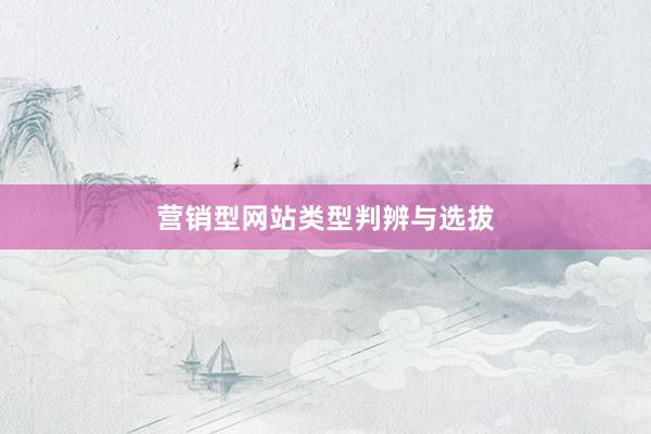 营销型网站类型判辨与选拔